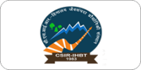 Logo 6