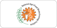 Logo 6